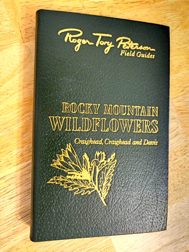 Rocky mountain wildflowers - rocky,