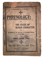 1800s, Frenologia, Study Di Umano Personaggio, Erbe Medicine Co, Springfield,