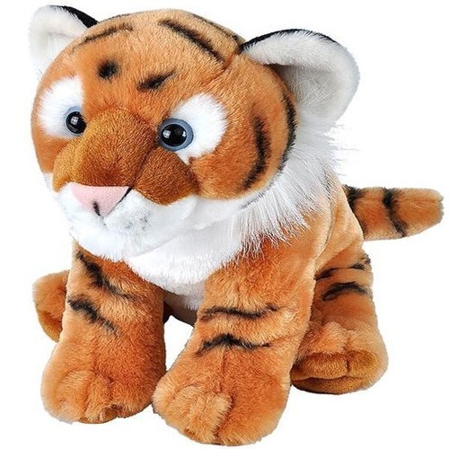Cucciolo tigre coccole - cucciolo,