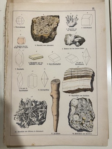 Stampa antica incisione - , 1888