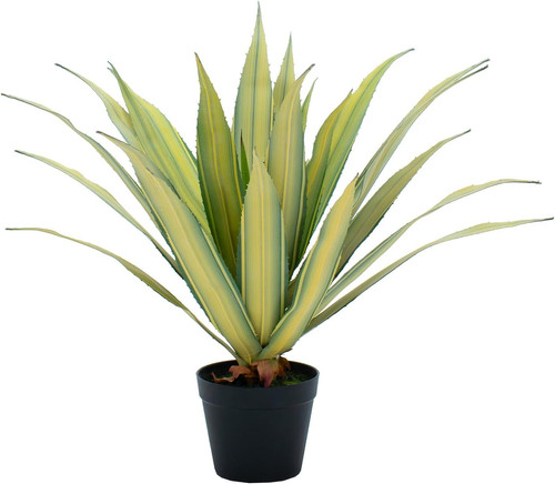 Pianta agave finta - agave,