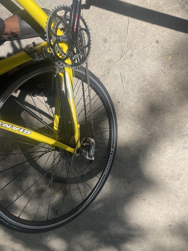 Yellow giant tcr - yellow,