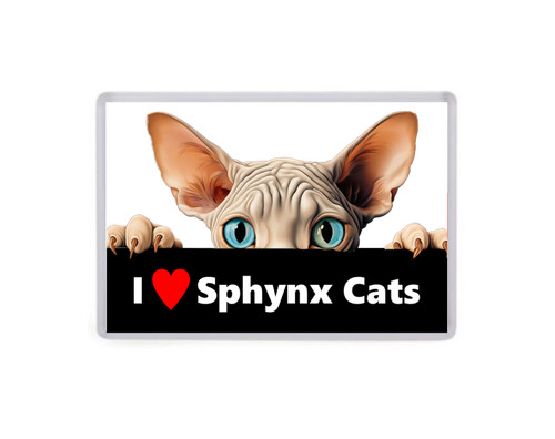 Love sphynx gatti calamita - gatti,