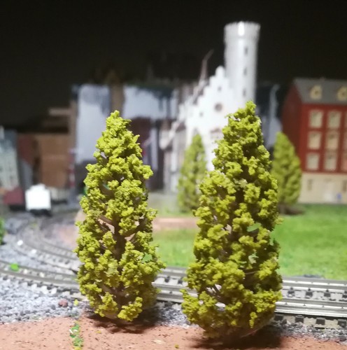 Dunkelgelbgrüne abeti - dunkelgelbgrüne,