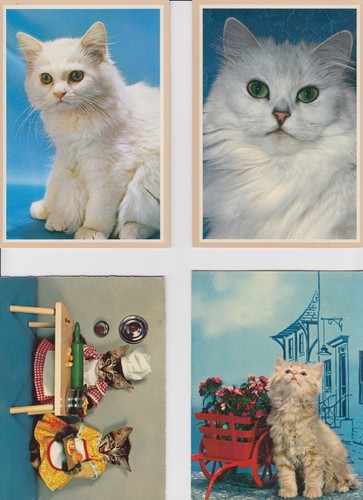 Cartoline di gatti - cartoline,