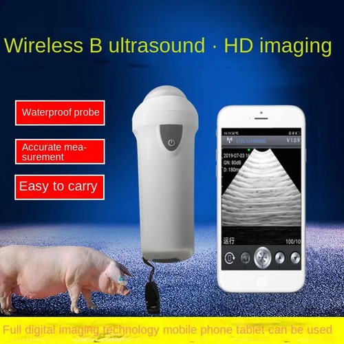 Cellulare wireless animal - wireless, b
