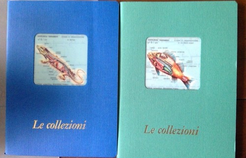 Due quaderni pigna - pigna, le