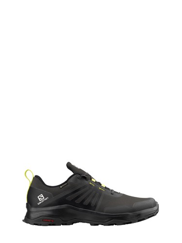 Salomon render gtx - salomon, x-render