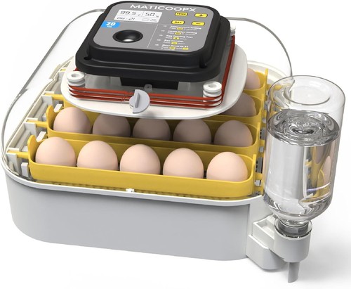 Incubatrice uova con - incubatrice, 20