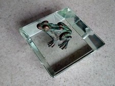 MINIATURA_RANA_ ANIMALI_BRONZO_VETRO_ FERMACARTE DECORATIVA DA COLLEZIONE