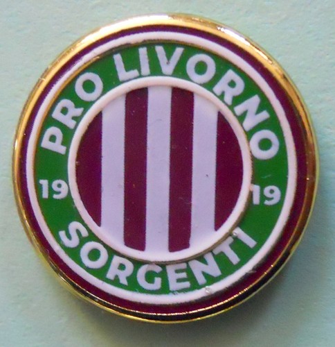 Distintivo spilla pin badge - pin,