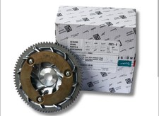 SEMIPULEGGIA MOTRICE VARIATORE