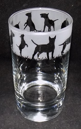 New english bull terrier - bull, terrier'