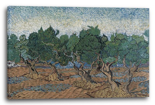Tela cornice vincent van gogh - tela/cornice,