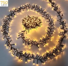 Catena luminosa di Natale millepiedi cluster a LED luce calda bassa tensione 31V