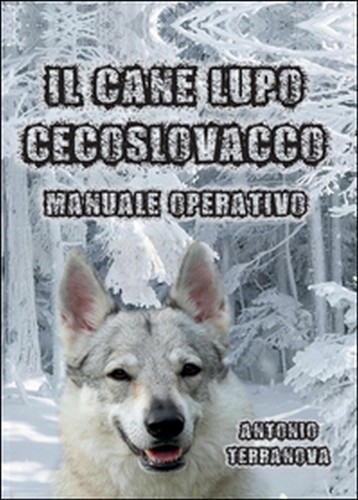 Cane lupo cecoslovacco di - cane,