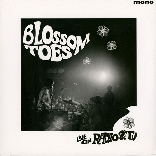 Blossom toes live radio - on,