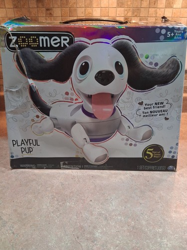 Zoomer cucciolo giocoso - zoomer, giocoso,