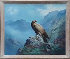 DOUGLAS FALCONIERE ARTE