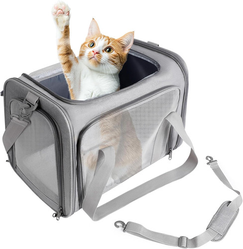 Trasportino gatto cani - trasportino,