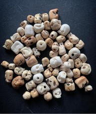 Teschio intagliato a mano osso