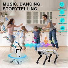 Robot simulazione intelligente