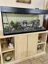 Acquario Wave 230