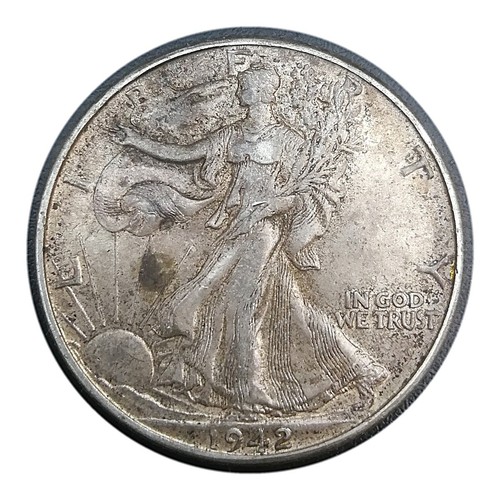 Usa half dollar walking - half,