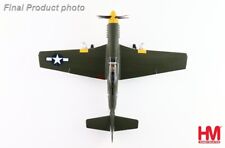 Hobbymaster 1:48 P51D Mustang