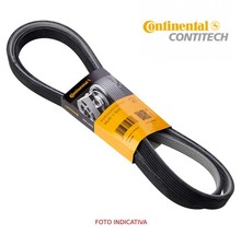 CINGHIA POLY-V CONTITECH IVECO