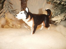 Big Jim - cane da slitta / husky - spedizione artica / cane da slitta Arctic Rescue -sw