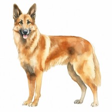 2 adesivi auto cane pastore