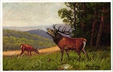 M. Freitag, Jagd, ,ca 30x20cm