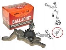 TESTINA BRACCIO ANTERIORE