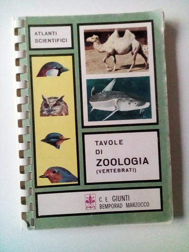 Tavole zoologia - tavole, di