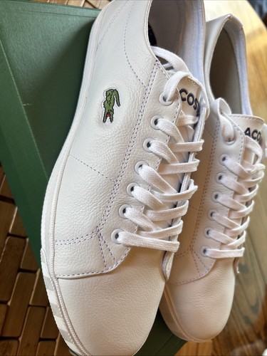 Scarpe sneakers lacoste - scarpe,