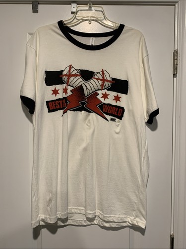 Aew punk best the world - in,