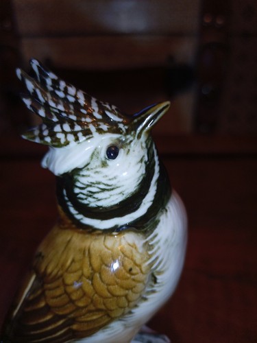 Karl ens vogel bird mésange - ens,