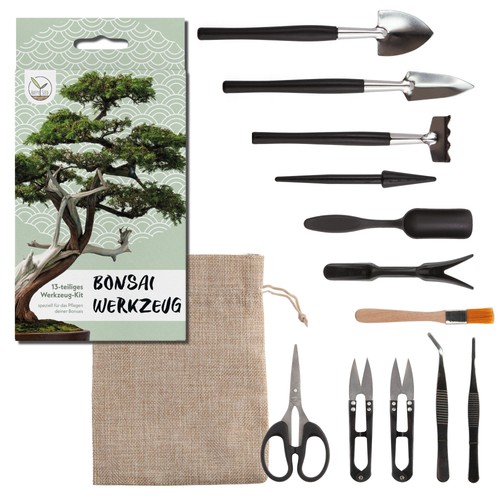 Happy seed kit - bonsai, attrezzi