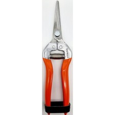 FORBICI COGLIUVA VENDEMMIA