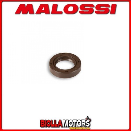 669598b paraolio malossi - 669598b,