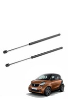 2 MOLLE A GAS PISTONCINI