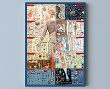 Poster Tabella Medica