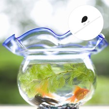  Accessori Per Acquari