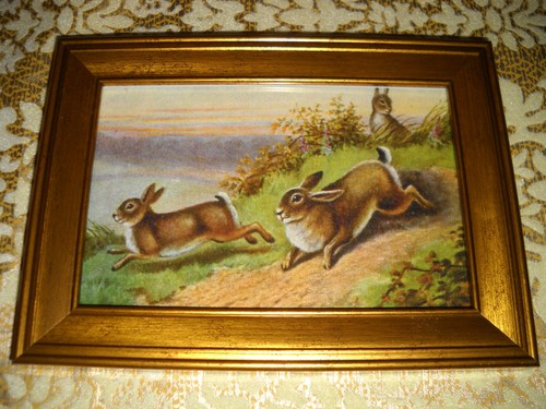 Conigli run downhill - downhill, 4x6