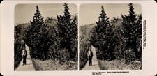 Foto stereo Crimea Ucraina