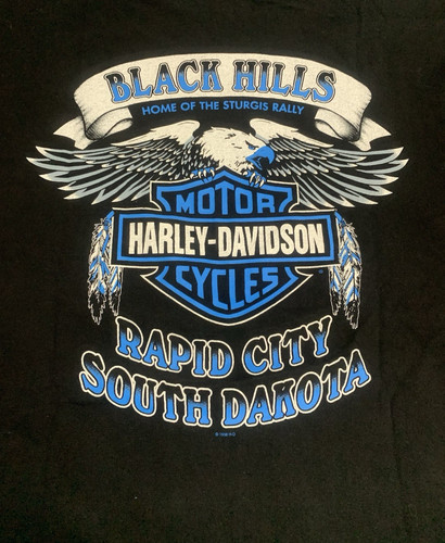 Harley davidson sturgis - sturgis, black