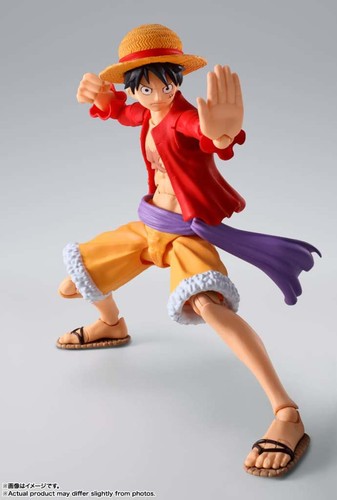 One piece monkey - monkey, d.