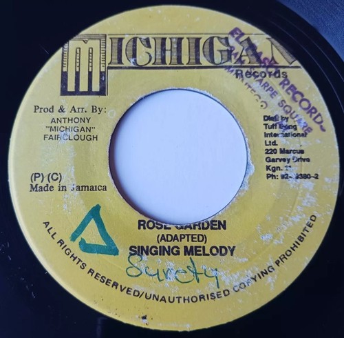 Singing melody rose - -, garden