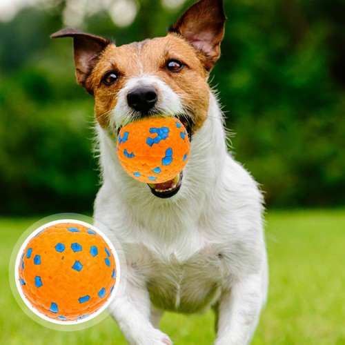Palla per cani indistruttibile - palla,